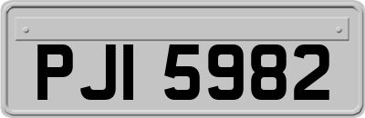 PJI5982