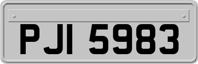 PJI5983