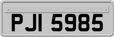 PJI5985