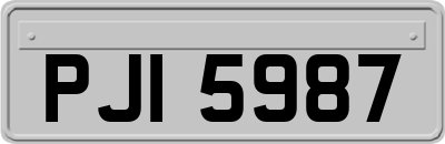 PJI5987