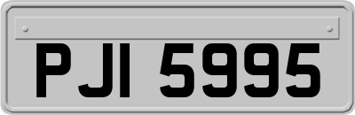 PJI5995