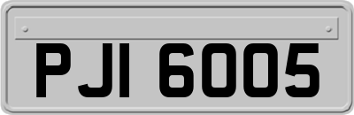 PJI6005