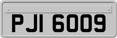 PJI6009
