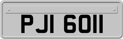 PJI6011