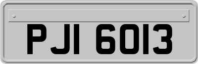 PJI6013