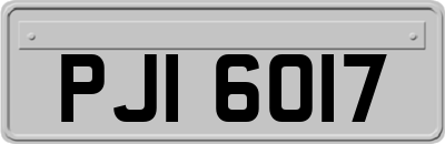 PJI6017