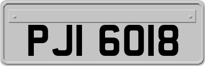 PJI6018