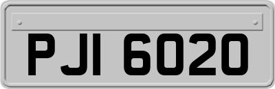 PJI6020