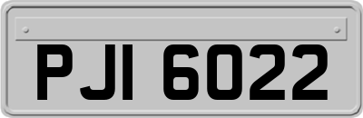 PJI6022