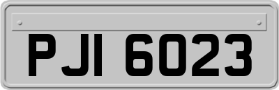 PJI6023