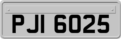PJI6025