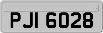 PJI6028