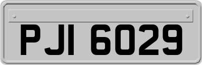 PJI6029
