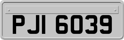 PJI6039