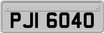 PJI6040