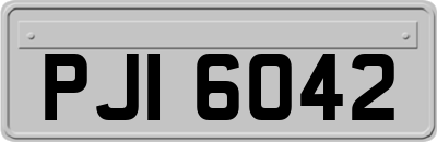 PJI6042