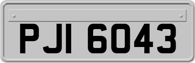 PJI6043