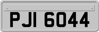 PJI6044