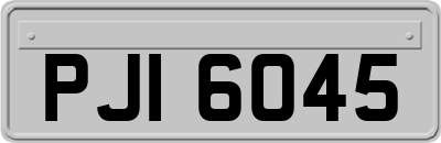 PJI6045