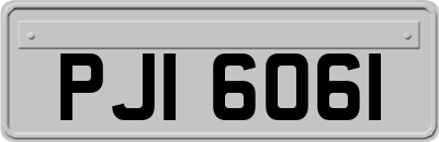 PJI6061