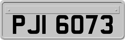 PJI6073