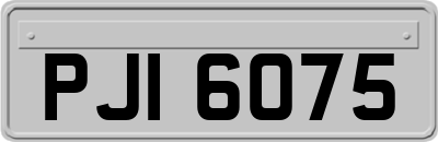 PJI6075