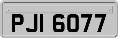 PJI6077