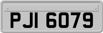 PJI6079