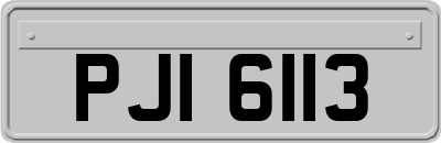 PJI6113