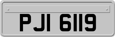 PJI6119
