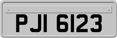 PJI6123