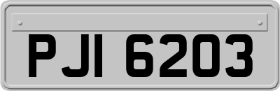 PJI6203