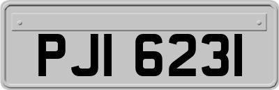 PJI6231
