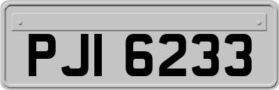 PJI6233