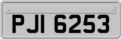 PJI6253