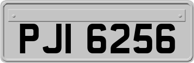 PJI6256