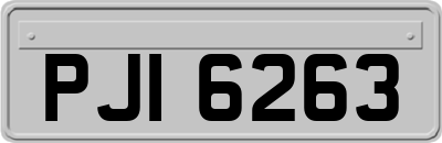PJI6263
