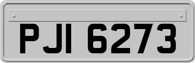 PJI6273