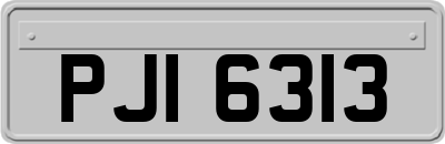 PJI6313