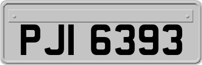 PJI6393