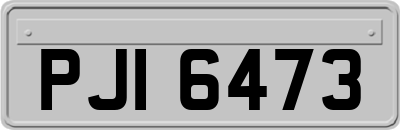 PJI6473