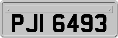 PJI6493