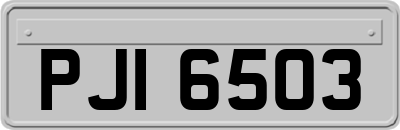 PJI6503