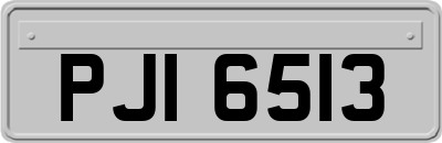PJI6513