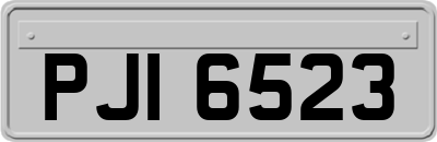 PJI6523