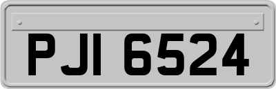 PJI6524