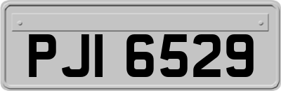 PJI6529