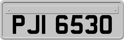 PJI6530