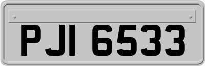 PJI6533