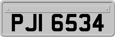 PJI6534